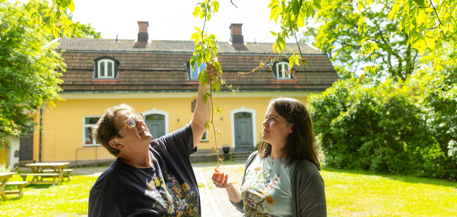 Kaksi naista tarkastelee villiviiniä, taustalla Maarian pappila.