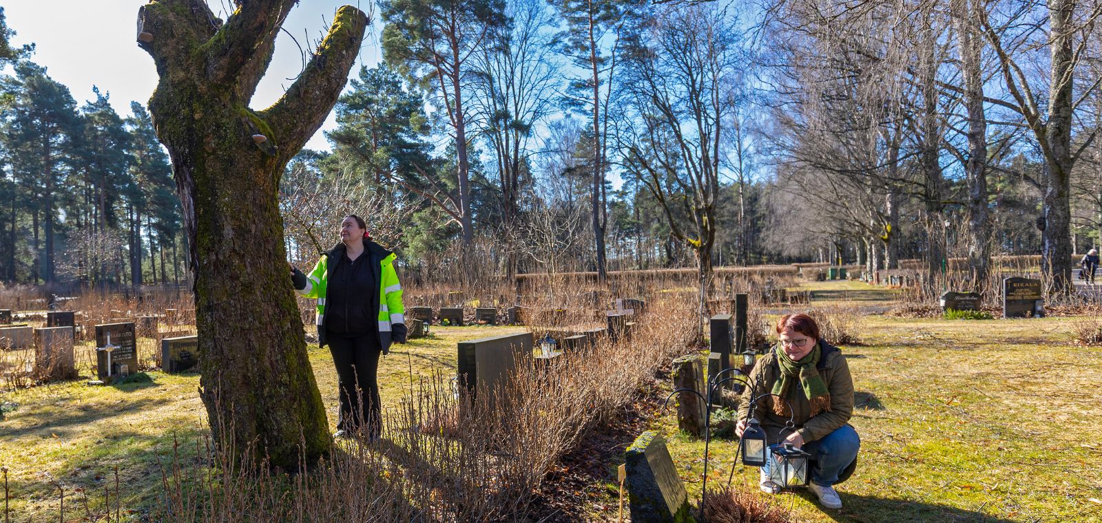 Kaksi naista hautausmaalla. Toinen tutkii pystyyn kuollutta keloa, toinen irrottaa maasta kynttilälyhden.