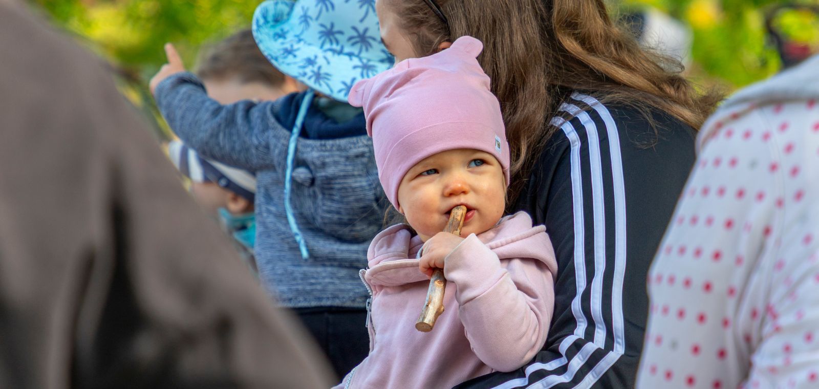 Aikuisen sylissä oleva vauva syö keppiä.